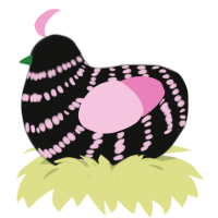 A black and pink chicken with a bar pattern