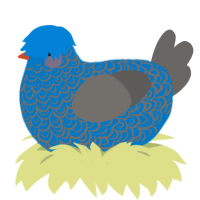 A sapphire and grey chicken with a double-lace pattern