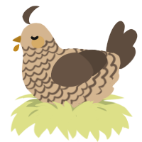 A beige and bark chicken with a lace pattern