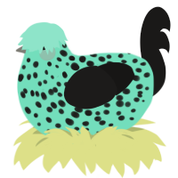 Baja Blast, a mint and sable chicken with a speckle pattern