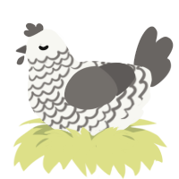 ZERO ULTRA, a white and grey chicken with a lace pattern