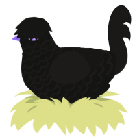 Anthelion, a black and sable chicken with a lace pattern