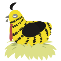 Skull, a yellow and sable chicken with a bar pattern