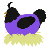 A blurple and black chicken with a head pattern