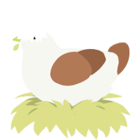 Spice Gull, a white and brown chicken