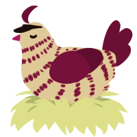 Overflight, a beige and wine chicken with a bar pattern
