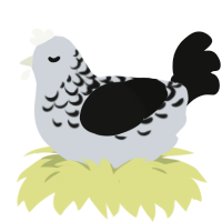 Fineprint, a mist and black chicken with a half-lace pattern