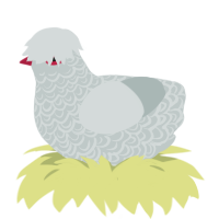 (unnamed), a silver chicken with a double-lace pattern