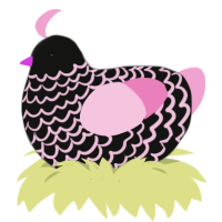 Trixie, a black and pink chicken with a lace pattern