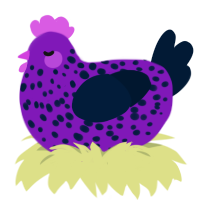 Berry Chia Pudding, a violet and tumblr chicken with a speckle pattern