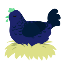 Midnight, a navy and tumblr chicken with a half-lace pattern