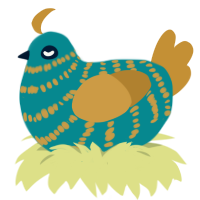 Gorden, a teal and gold chicken with a bar pattern