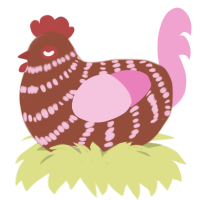 Choco, a russet and pink chicken with a bar pattern
