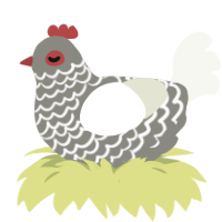 (unnamed), a ash and white chicken with a lace pattern