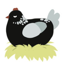Dark Knight, a black and silver chicken with a neck-speckle pattern