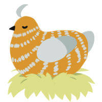 A orange and silver chicken with a bar pattern
