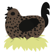 A bark and black chicken with a speckle pattern