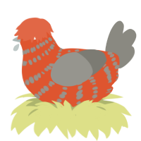 Kassandra, a vermilion and ash chicken with a bar pattern