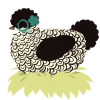 Truffle, a white and black chicken with a double-lace pattern
