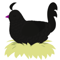 Sunglasses, a sable and black chicken with a lace pattern