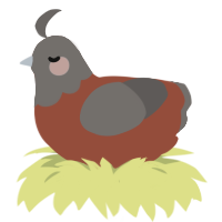 A russet and grey chicken with a head pattern