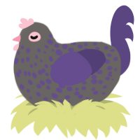 Fig, a grey and overcast chicken with a speckle pattern