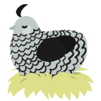 paper cutout, a silver and sable chicken with a lace pattern
