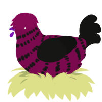 A wine and black chicken with a bar pattern