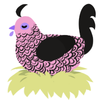 A pink and sable chicken with a double-lace pattern