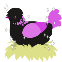 Blingee, a sable and orchid chicken with a neck-speckle pattern
