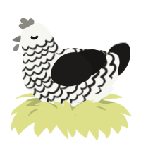 A white and sable chicken with a lace pattern
