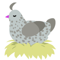 Smokey, a silver and ash chicken with a speckle pattern
