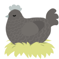 pavemet, a grey chicken with a lace pattern