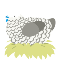 A white and ash chicken with a lace pattern