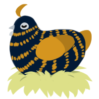 A tumblr and ochre chicken with a bar pattern