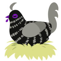 A black and ash chicken with a bar pattern