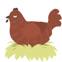 Mud Pile, a russet chicken with a bar pattern