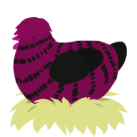 Black Cherry, a wine and black chicken with a bar pattern