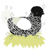 Regal, a black and white chicken with a double-lace pattern