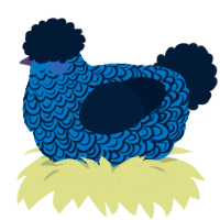 A sapphire and tumblr chicken with a double-lace pattern