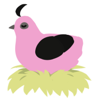 A pink and black chicken