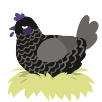 A sable and grey chicken with a lace pattern