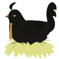 Scoliosis, a sable and black chicken with a head pattern