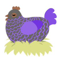 Purpurite, a grey and blurple chicken with a lace pattern