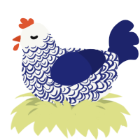 Alabaster, a white and navy chicken with a double-lace pattern