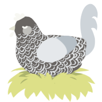 The Bells, a grey and mist chicken with a double-lace pattern