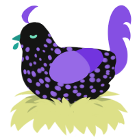 A black and blurple chicken with a speckle pattern