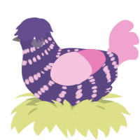 A overcast and pink chicken with a bar pattern