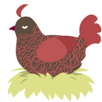 A bark and red chicken with a double-lace pattern