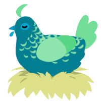 shorts, a sea and spring chicken with a half-lace pattern